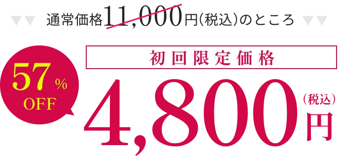 初回限定価格4,800円(税込)
