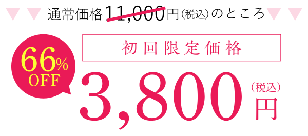 初回限定価格4,800円(税込)
